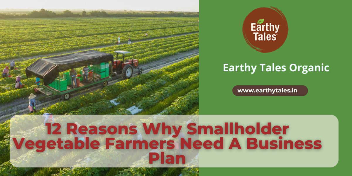 12 Reasons Why Smallholder Vegetable Farmers Need a Business Plan