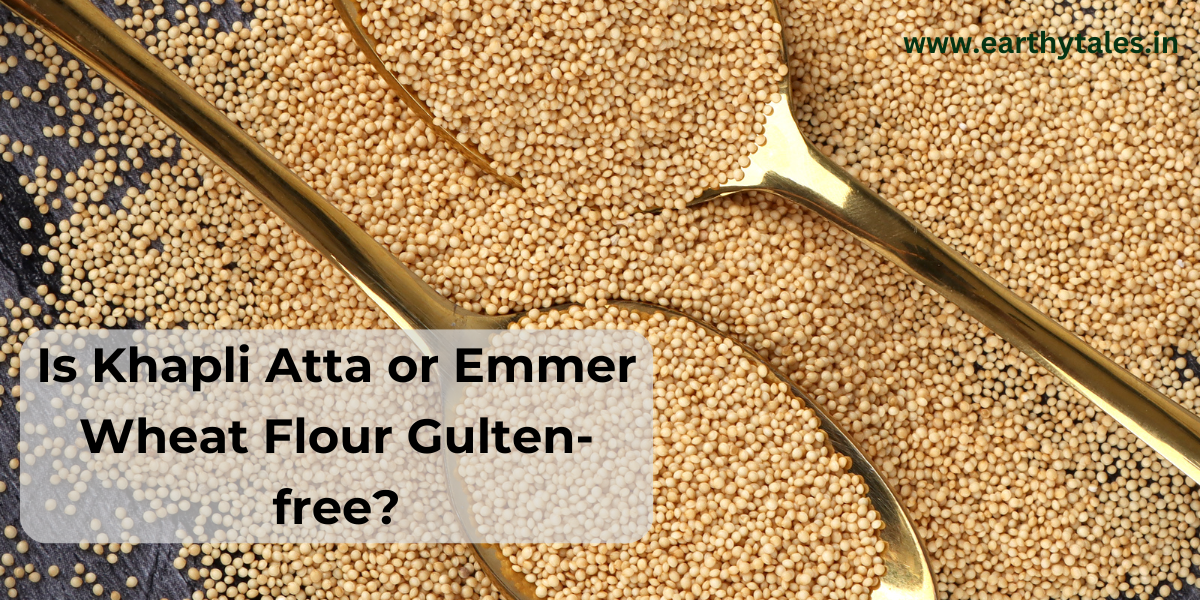 Is Khapli Atta or Emmer Wheat Flour Gulten-free